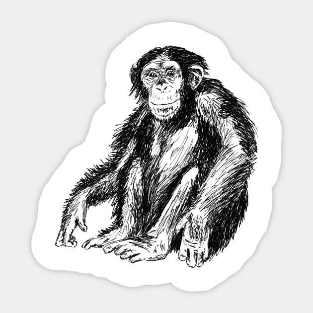 Chimpanzee Sticker by rachelsfinelines